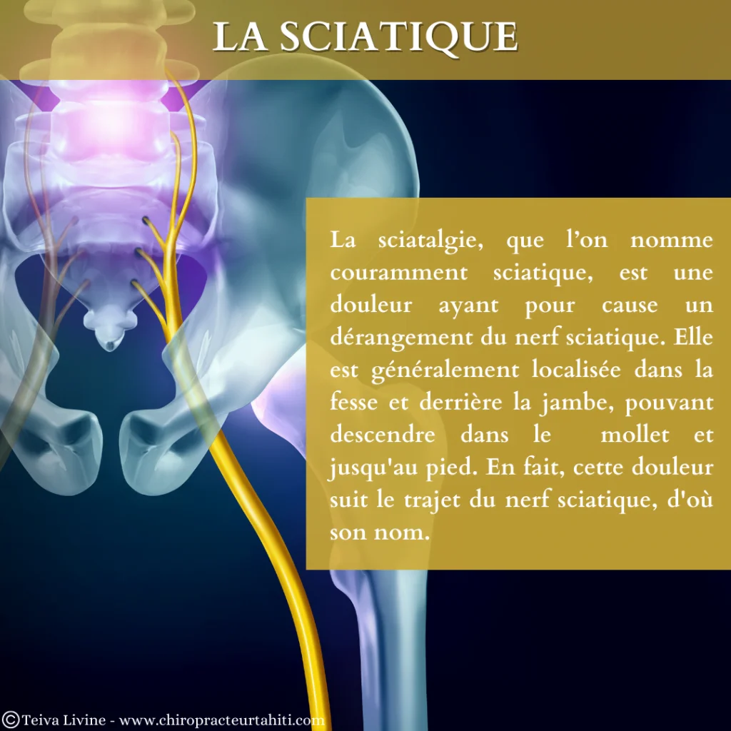 Visuels lexicaux