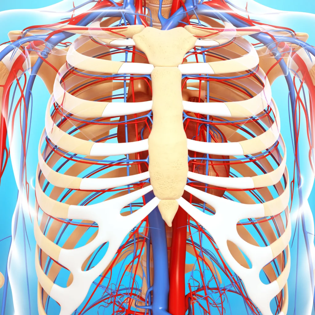subluxation fréquente