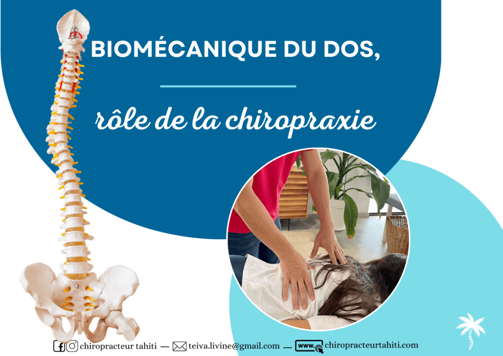 Biomécanique du dos et chiropraxie