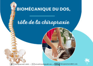 Biomécanique du dos et chiropraxie