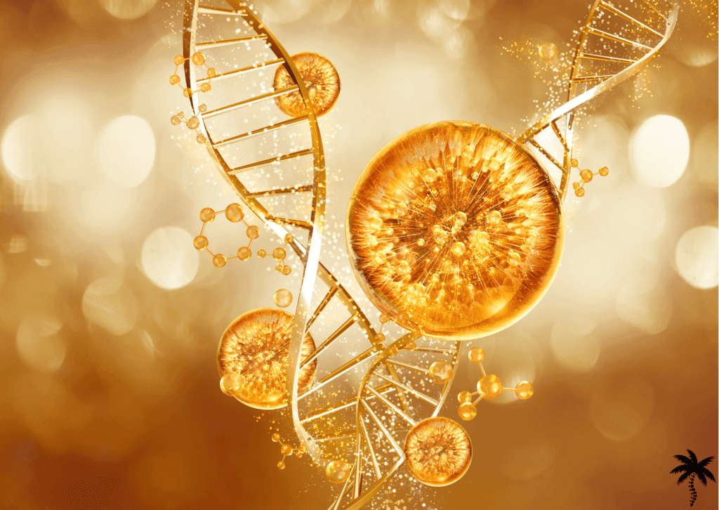 Collagène, vitamine C, chaleur tropicale et… récupération 2 Le collagène se régénère moins vite